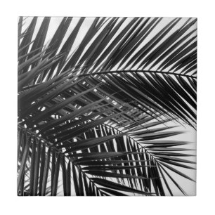 Azulejo De Cerâmica Folhas de palmeira tropicais - fotografia preto e