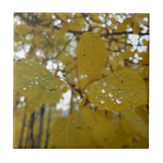 Azulejo De Cerâmica folhas do álamo tremedor
