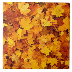 Azulejo De Cerâmica Folhas do Autumn Maple