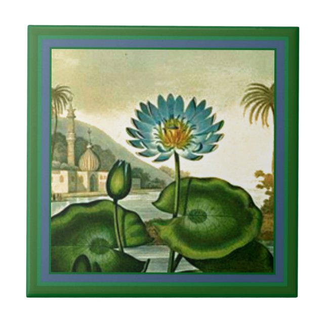 Azulejo De Cerâmica Folhas egípcias do verde da flor de Lotus azul do (Frente)