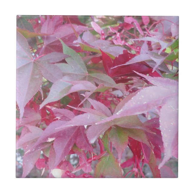 Azulejo De Cerâmica Folhas Rosa E Sage (Frente)