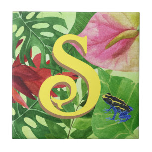 Azulejo De Cerâmica Folhas tropicais personalizadas sapo da selva de b