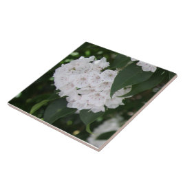 Azulejo De Cerâmica Folhas Verdes das Flores Verdes da Montanha Branca