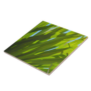 Azulejo De Cerâmica Folhas verdes, luz solar e céu azul