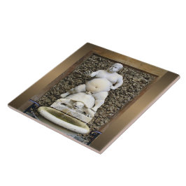 Azulejo De Cerâmica Fonte do Baco