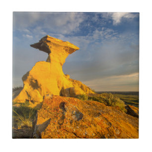 Azulejo De Cerâmica Formação Esculturada das Badlands em Grama Curta