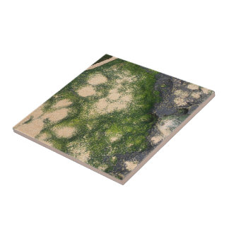 Azulejo De Cerâmica Formação Rochosa de Arenito com Musgo Esmeralda Ve