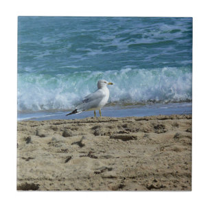 Azulejo De Cerâmica Fort Lauderdale, Flórida