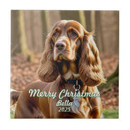 Azulejo De Cerâmica Foto Cocker Spaniel MEMORIAL Personalizar
