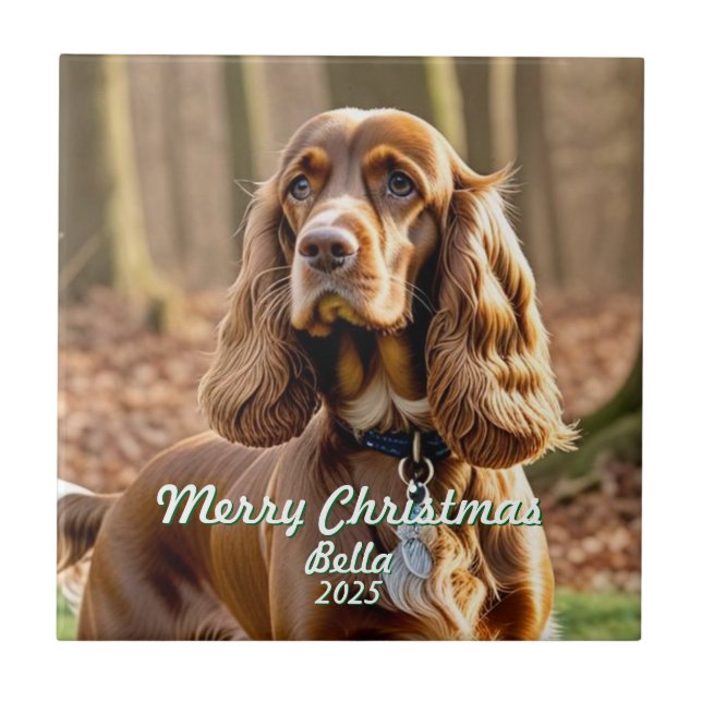 Azulejo De Cerâmica Foto Cocker Spaniel MEMORIAL Personalizar (Frente)