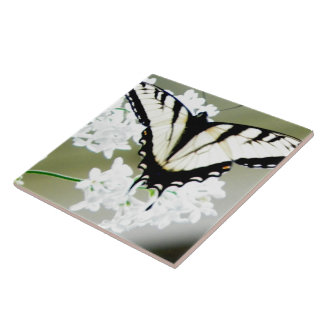 Azulejo De Cerâmica Foto da Borboleta do Swallowtail do Tiger Oriental
