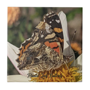 Azulejo De Cerâmica Foto da Borboleta Painted Lady na Natureza