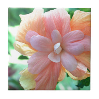 Azulejo De Cerâmica Foto da Flor de Hibiscus Havaiana