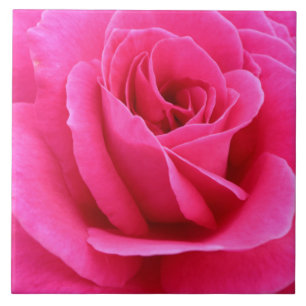 Azulejo De Cerâmica Foto da Rosa vermelha Sultry Candy
