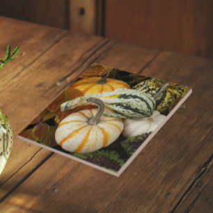 Azulejo De Cerâmica Foto de Autumn Squash Still Life