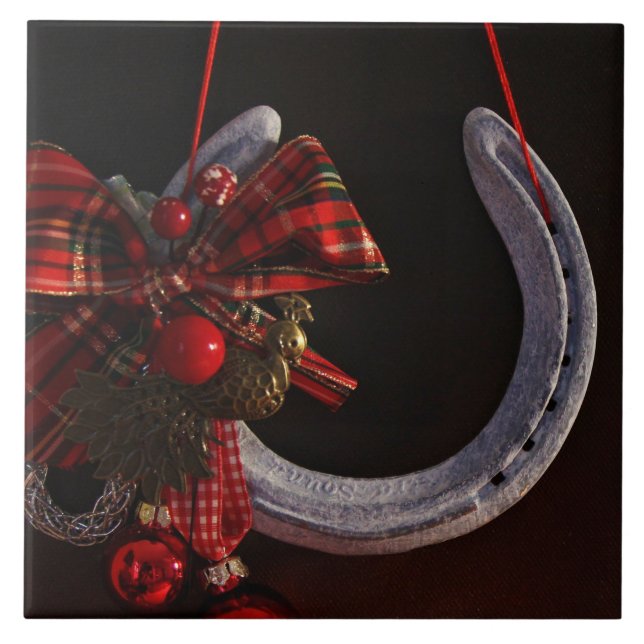 Azulejo De Cerâmica Foto de ferradura equestre (Frente)