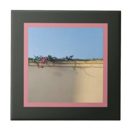 Azulejo De Cerâmica Foto de momento calmo