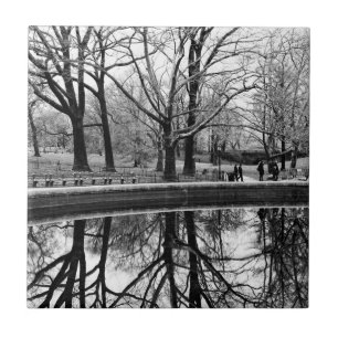 Azulejo De Cerâmica Foto do Central Park, NYC