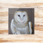 Azulejo De Cerâmica Foto do Raptor Barn Owl<br><div class="desc">Colecionadores de corujas adorarão este azulejo cerâmico com a foto de uma belíssima Coruja Celestial com rosto em forma de coração. Selecione o tamanho do seu azulejo. Faz uma trivet de cozinha excelente!</div>