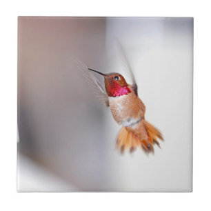 Azulejo De Cerâmica Foto do vôo do colibri