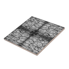 Azulejo De Cerâmica Foto em Preto e Branco da Casca da Árvore Closeup 