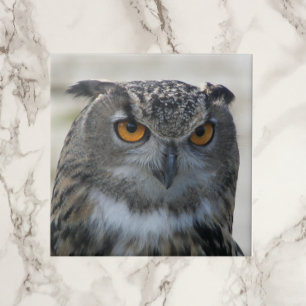 Azulejo De Cerâmica Foto Eurasian Eagle Owl