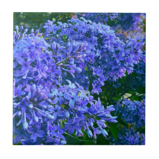 Azulejo De Cerâmica Foto floral azul roxa-azul romântica azul