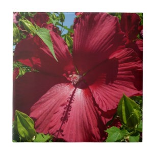Azulejo De Cerâmica Foto natural de Hibiscus Flower and Blue Sky