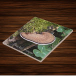Azulejo De Cerâmica Foto Natureza do Fungo da Colchete<br><div class="desc">Para os fãs da natureza e dos cogumelos! Azulejo cerâmico com a foto de um Fungo Colchete,  também conhecido como Shelf Fungus,  crescendo em um tronco coberto de musgo. Selecione o tamanho do seu azulejo. Faz uma trivet de cozinha excelente!</div>