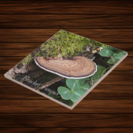 Azulejo De Cerâmica Foto Natureza do Fungo da Colchete