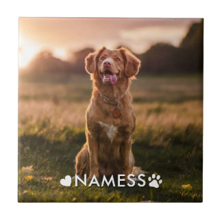 Azulejo De Cerâmica Foto Personalizada Com O Nome Do Seu Cachorro