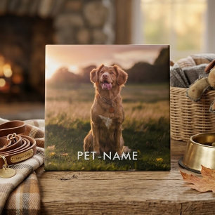 Azulejo De Cerâmica Foto Personalizada Com O Nome Do Seu Cachorro