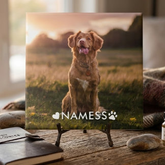 Azulejo De Cerâmica Foto Personalizada Com O Nome Do Seu Cachorro