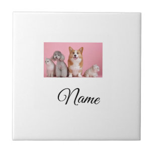 Azulejo De Cerâmica Foto personalizada de animal colorido simples adic