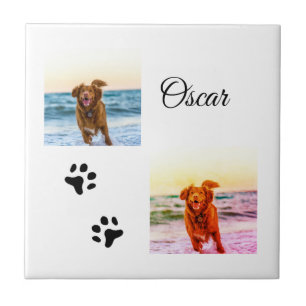 Azulejo De Cerâmica Foto personalizada de animal colorido simples adic