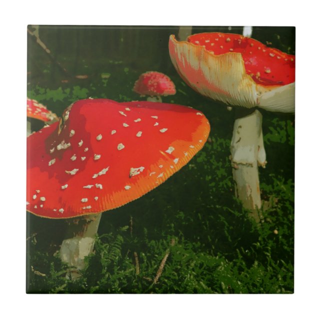 Azulejo De Cerâmica Foto vermelha dos cogumelos de Muscaria do amanita (Frente)