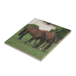 Azulejo De Cerâmica Fotografia de cavalos