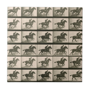 Azulejo De Cerâmica Fotografia de horta Motion
