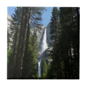 Azulejo De Cerâmica Fotografia de Yosemite Falls and Woods
