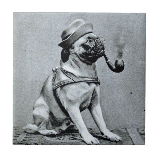 Azulejo De Cerâmica Fotografia elegante do Pug do vintage