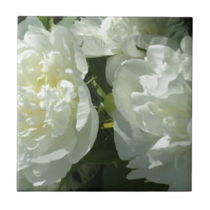 Azulejo De Cerâmica Fotografia floral branca de pénia branca Elegante