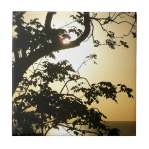 Azulejo De Cerâmica Fotografia Tropical II através do Sol