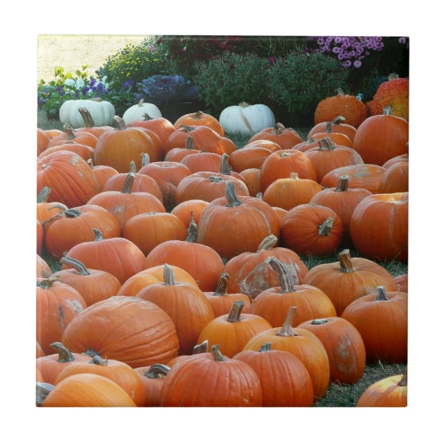 Azulejo De Cerâmica Fotografias de Colheita de outono e Mães (Frente)
