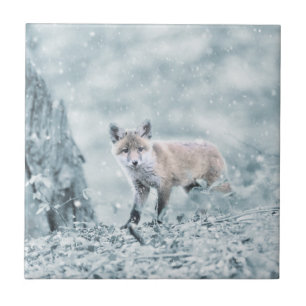 Azulejo De Cerâmica Fox Cub na neve