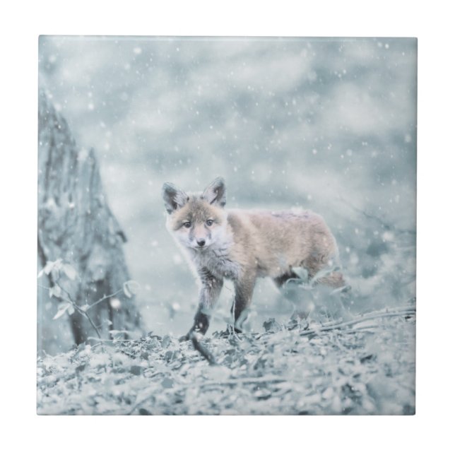 Azulejo De Cerâmica Fox Cub na neve (Frente)