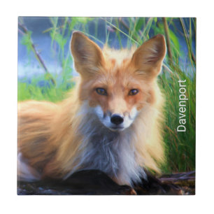 Azulejo De Cerâmica Fox vermelho que coloca no cénico da grama