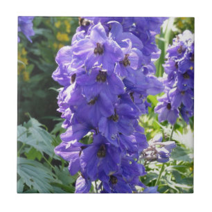 Azulejo De Cerâmica Foxglove azul selvagem