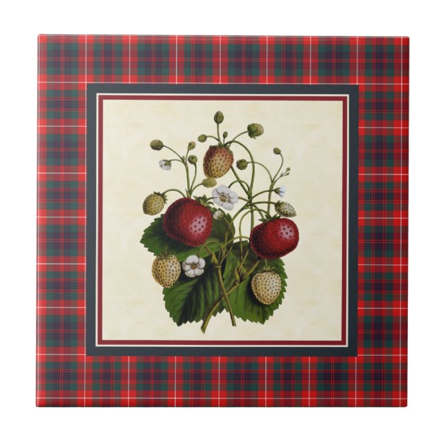 Azulejo De Cerâmica Fraser de Lovat Modern Tartan com Strawberry (Frente)