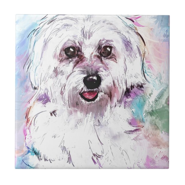 AZULEJO DE CERÂMICA  FREDDY (Frente)