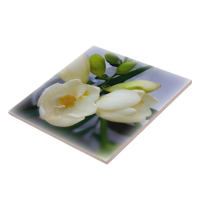 Azulejo De Cerâmica freesia amarela branca (Lateral)